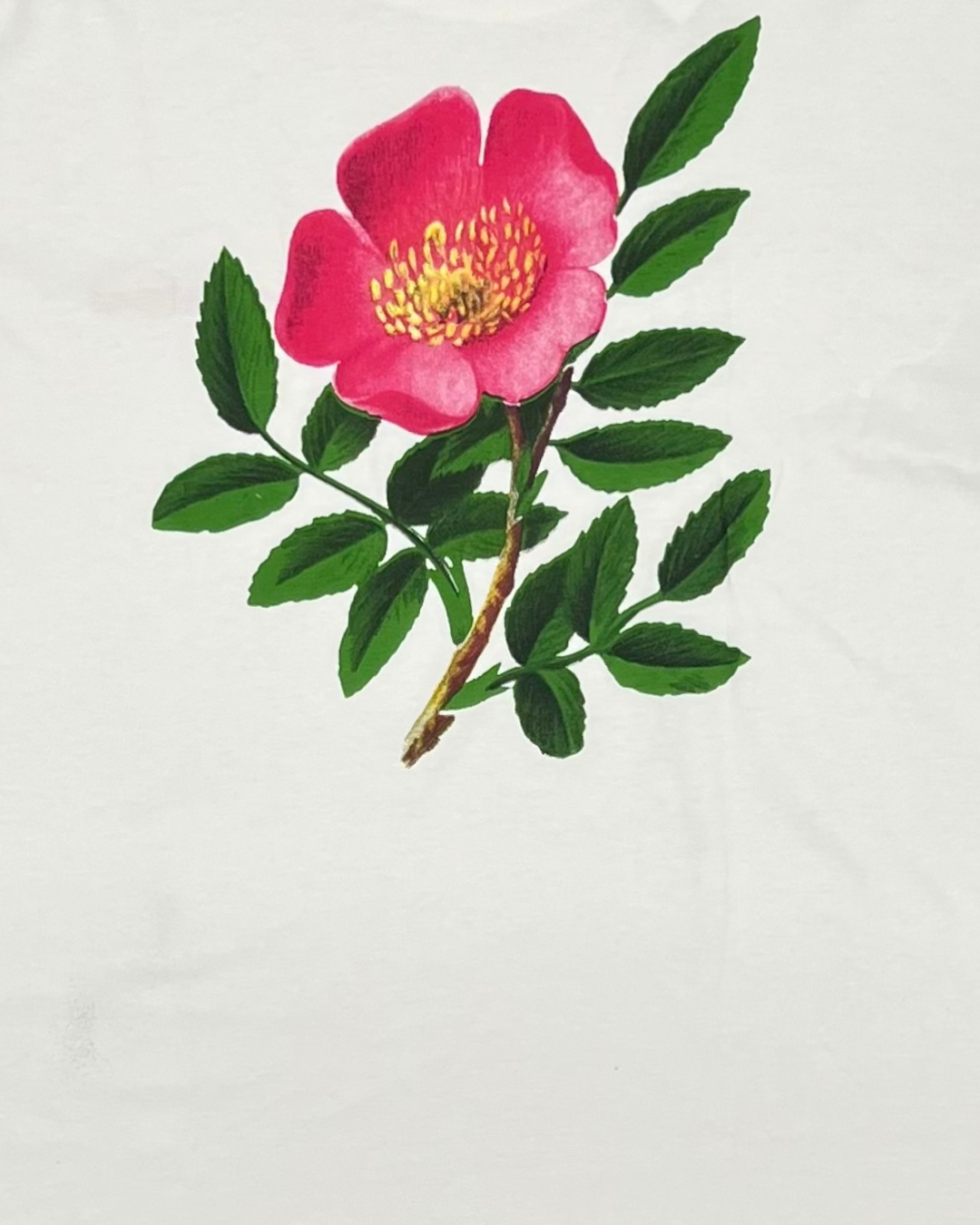 WALDSTATTEN - T SHIRT BLANC FLEUR ROSE BACK