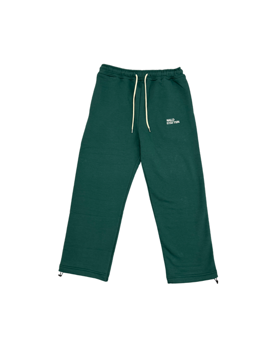 WALDSTATTEN - PANT VERT