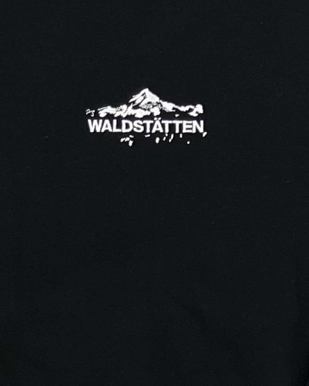 WALDSTATTEN - HOODIE NOIR