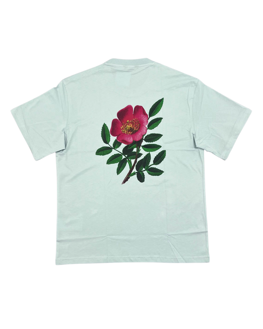WALDSTATTEN - TSHIRT BIO ALPEN-HECKENROSE  MINT